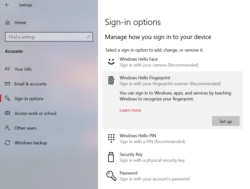 Windows Settings Sign-in options showing Windows Hello Face, Fingerprint and PIN available for setup