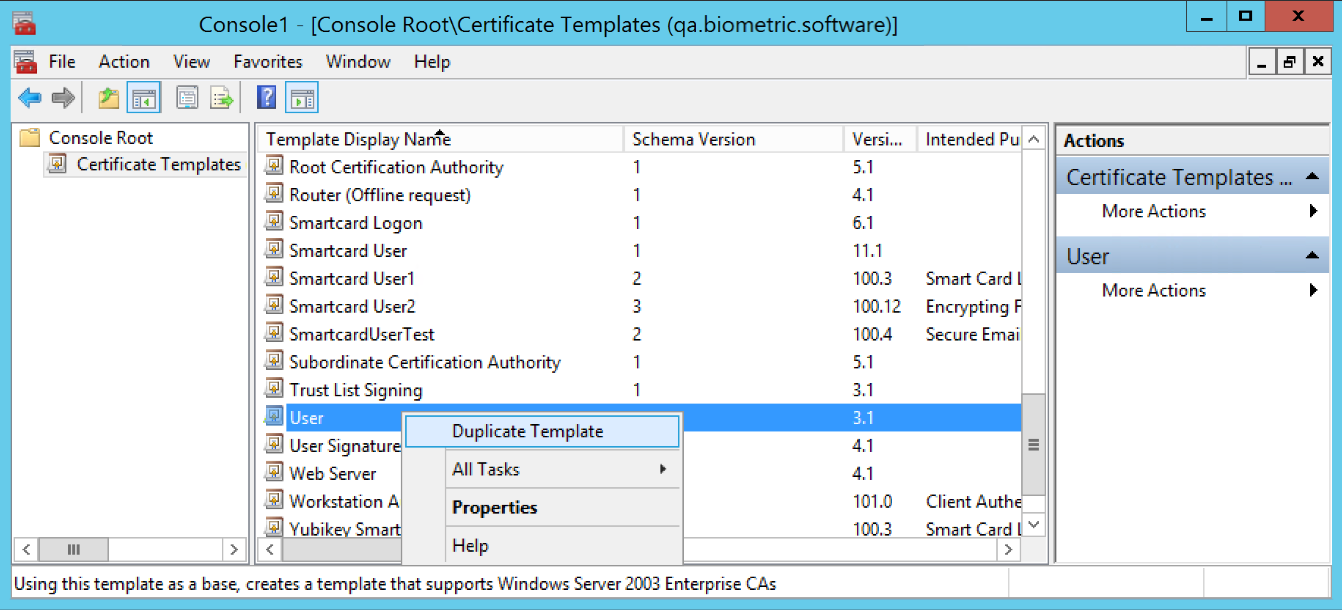 Duplicate template (Windows)