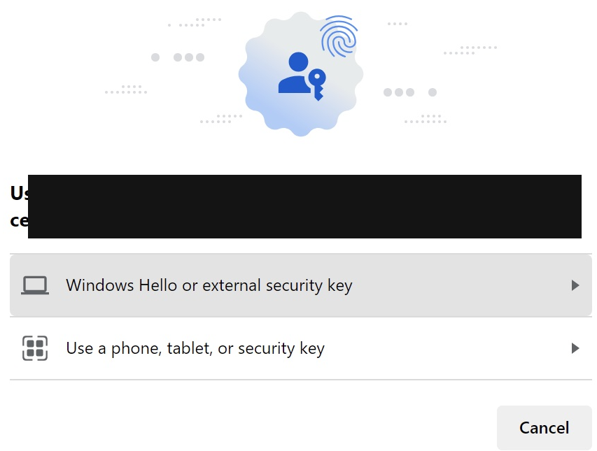Windows 11 Edge authentication user experience