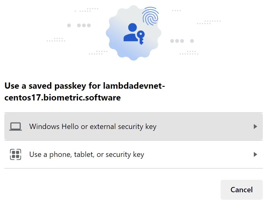 Windows 11 Edge authentication user experience